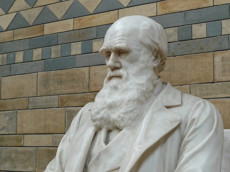 Exploring The Rich History Of Sofia: National History Museum